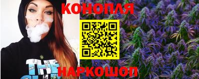 Альфа ПВП Будённовск