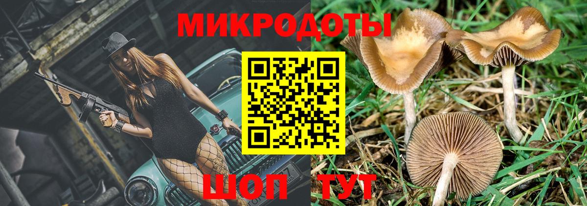 Псилоцибиновые грибы GOLDEN TEACHER Богородицк